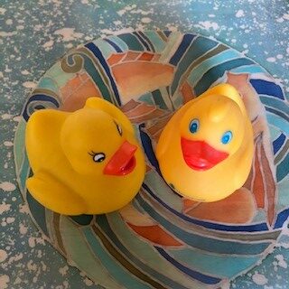 Two Ducks