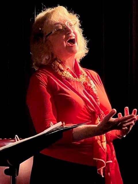 Susan Horowitz, DrSue Singer-Songwriter